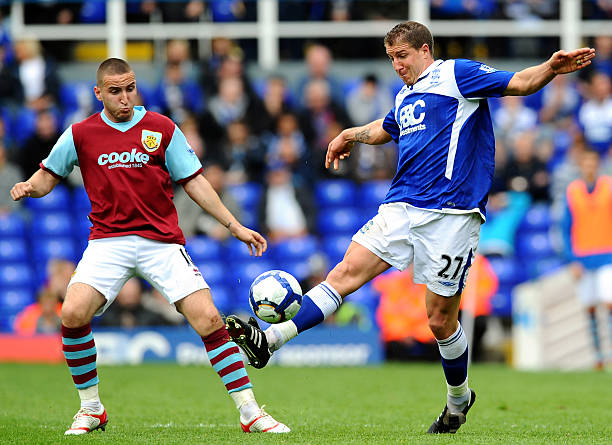 了新的活力 了新的活力